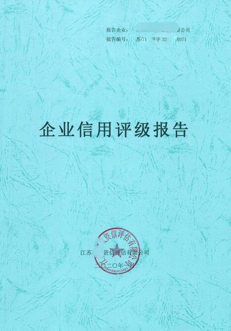 企业信用报告